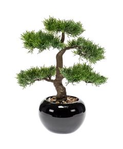 Emerald cedru artificial bonsai, verde, 34 cm 420003