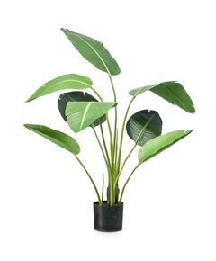 Emerald arbore artificial strelitzia, 120 cm, în ghiveci, verde