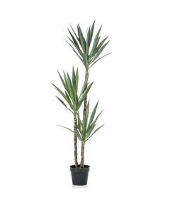 Emerald yucca artificială în ghiveci, 150 cm