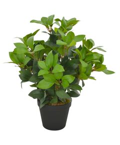 Plantă artificială dafin cu ghiveci, verde, 40 cm