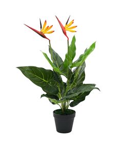 Plantă artificială strelitzia reginae pasărea paradisului 66 cm