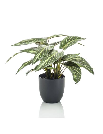 Emerald plantă artificială calathea "zebrina", 38 cm, în ghiveci